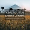 Company Closure (Dissolve Company)