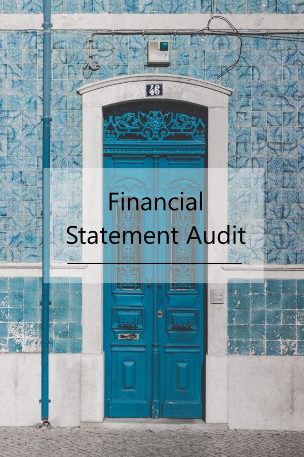 Financial statement audit