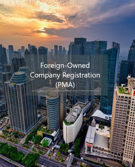 Foreign-Owned Company Registration (PMA)