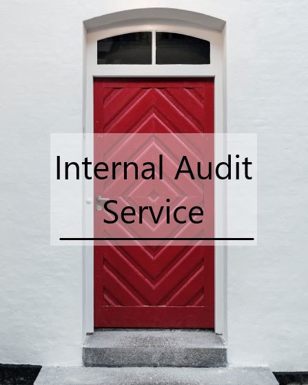 Internal Audit Indonesia