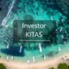 Investor Kitas