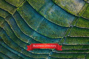 Read more about the article Key Drivers Behind Indonesia’s Investment Climate Growth in 2025