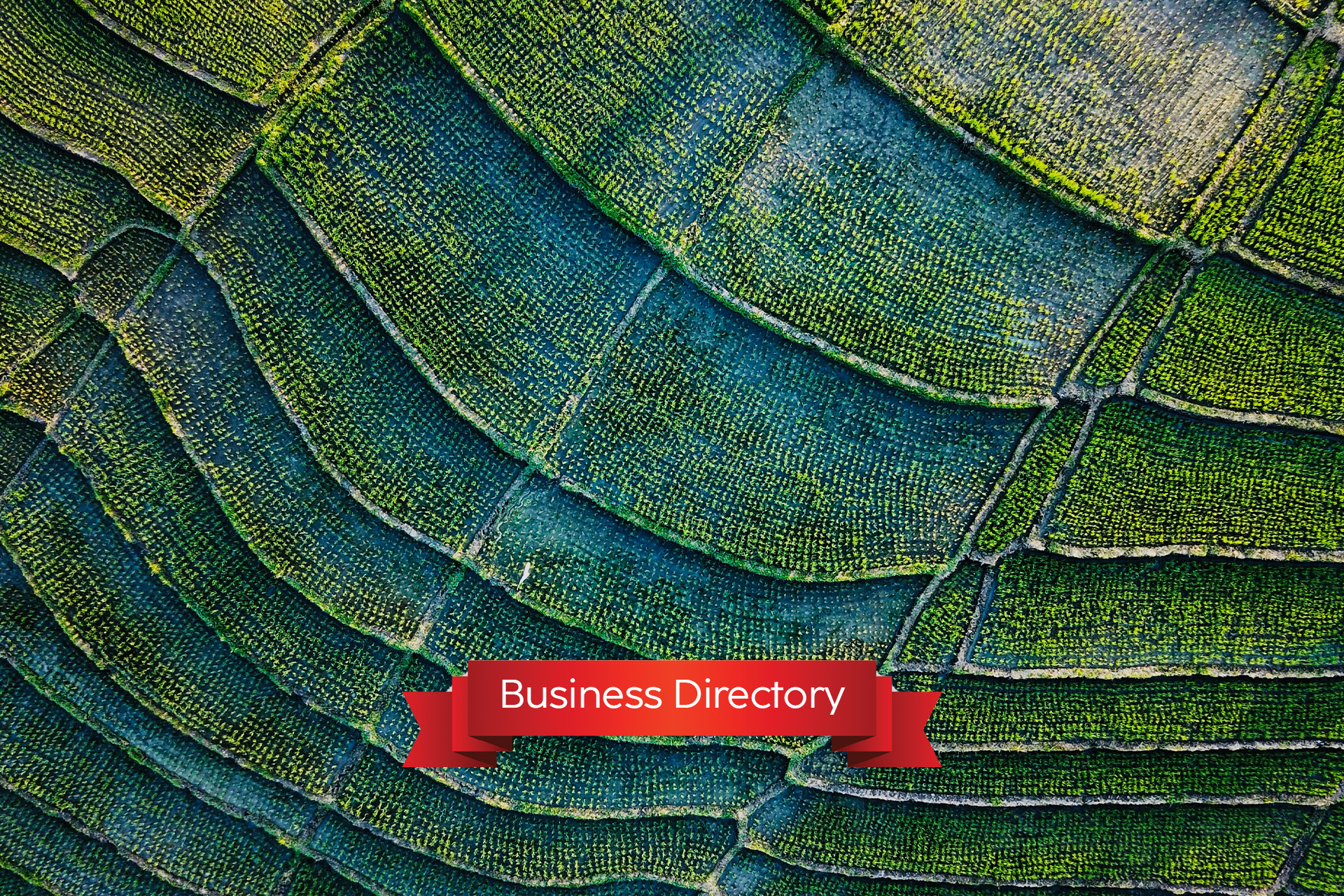 You are currently viewing Key Drivers Behind Indonesia’s Investment Climate Growth in 2025