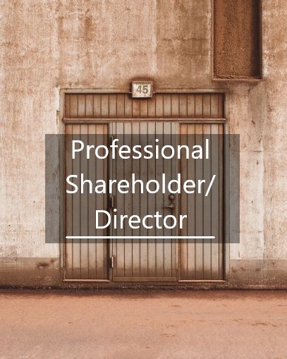 Professional shareholder