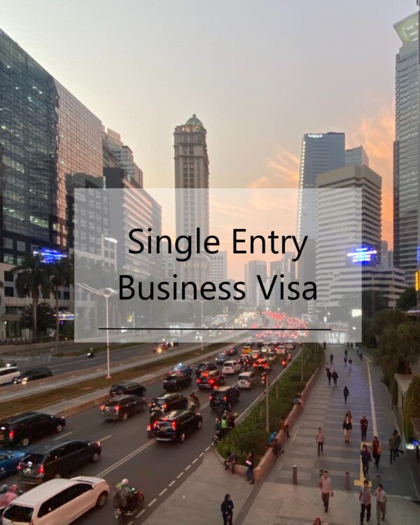 Single Entry Business Visa