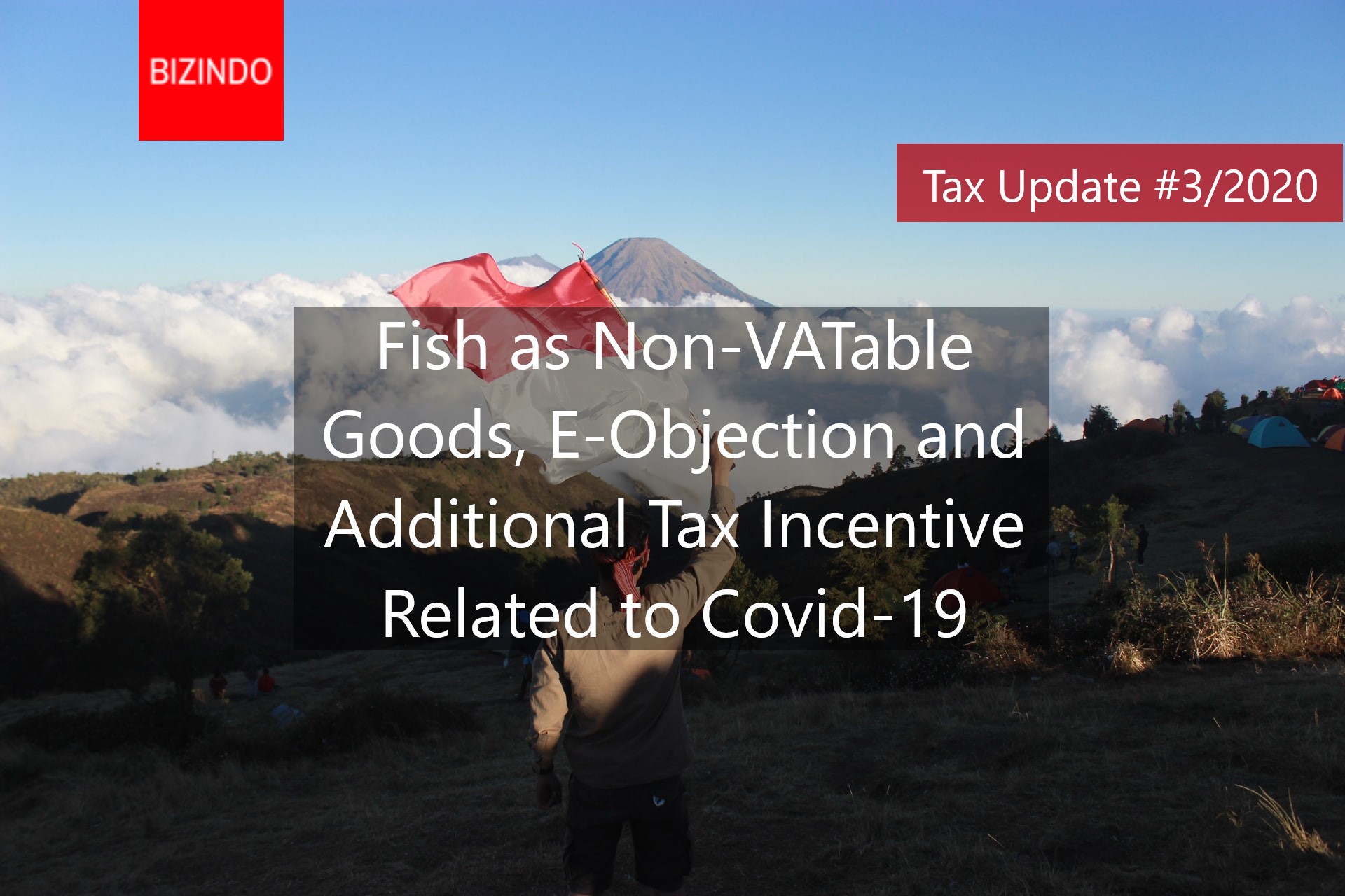 You are currently viewing Fish as Non-VATable Goods, E-Objection and Additional Tax Incentive Related to Covid-19